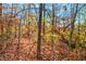 Image of land with autumn leaves and survey markers at 6465 Mt Moriah Rd, Nineveh, IN 46164
