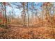 Sunny wooded area covered in fallen autumn leaves at 6465 Mt Moriah Rd, Nineveh, IN 46164