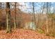 Wooded area with a pond view and autumn leaves on the ground at 6465 Mt Moriah Rd, Nineveh, IN 46164