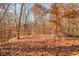 Autumn leaves cover the ground in this sunny wooded area at 6465 Mt Moriah Rd, Nineveh, IN 46164