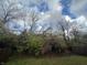Private backyard with a wooden fence and mature trees and shrubs at 3518 Birchfield Pl, Indianapolis, IN 46268
