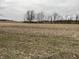Open farmland with a line of trees at 11 S 1050 W, Jamestown, IN 46147