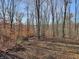 Serene wooded area showcasing the natural beauty of the land at 4355 E Streacher Rd, Bloomington, IN 47408