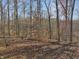 Wooded area with tall trees and leaf-covered ground at 4355 E Streacher Rd, Bloomington, IN 47408