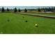 Outdoor bocce ball court with artificial turf at 6322 Granby Dr, Whitestown, IN 46075