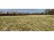 Open field with tall grass and distant trees at 2750 N County Road 1000 E, Indianapolis, IN 46234