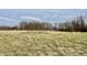 Open field with tall grass and distant trees at 2750 N County Road 1000 E, Indianapolis, IN 46234
