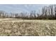 Open land with tall grass and leafless trees at 2750 N County Road 1000 E, Indianapolis, IN 46234