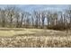 Open land with tall grass and leafless trees at 2750 N County Road 1000 E, Indianapolis, IN 46234
