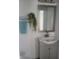 Modern bathroom with gray vanity, decorative mirror, and plant at 1826 N Dexter St, Indianapolis, IN 46202