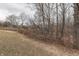 Wooded backyard landscape with dried leaves at 4314 Lantern Rd, Martinsville, IN 46151