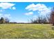 Large grassy backyard with mature trees and a propane tank at 11262 N Everett Rd, Monrovia, IN 46157