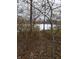 Frozen pond view from wooded area at 6784 Stanhope Way, Indianapolis, IN 46254