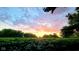 Scenic sunset over a soybean field with a partly cloudy sky at 3082 S County Road 125 W, Danville, IN 46122