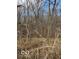 Wooded area with leaf covered ground at 5967 S Lick Creek Rd, Morgantown, IN 46160