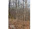 Wooded lot with leaf covered ground at 5967 S Lick Creek Rd, Morgantown, IN 46160