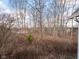 View of a wooded backyard with leaf-covered ground at 8530 Bluefin Cir, Indianapolis, IN 46236