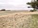 Open farmland with a shed and tree line in the background at 4726 E 210 N, Lebanon, IN 46052