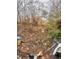 Backyard with overgrown vegetation and debris at 8434 Meadowlark Dr, Indianapolis, IN 46226