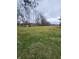 Spacious backyard offering a private and peaceful setting at 6805 E County Road 100 S, Avon, IN 46123
