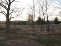 Landscaped backyard with mature trees and grassy areas at 2749 Grey Fox S Dr, Martinsville, IN 46151