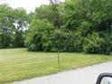 Wooded lot with grassy area, ready to build your dream home at 700 E Werges Ave, Indianapolis, IN 46227