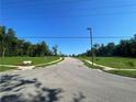 Curving street in new development, with green space and trees at 1997 Tipton Pointe Ct, Columbus, IN 47201