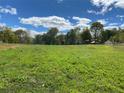 Spacious lot with lush green grass, offering ample space and privacy at 1366 Forest Hills Dr, Westfield, IN 46074