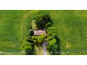 House surrounded by lush greenery, providing a serene countryside setting at 3910 N State Road 135, Franklin, IN 46131