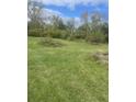 Spacious lot with overgrown areas at 3124 N Gale St, Indianapolis, IN 46218