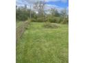 Large grassy yard with mature trees at 3124 N Gale St, Indianapolis, IN 46218