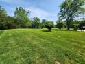View 8230 Spring Valley Dr Plainfield IN