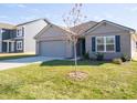 Newly built home with gray garage door and small tree at 6205 Card Blvd, Indianapolis, IN 46221