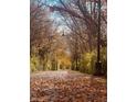 Scenic pathway lined with trees displaying vibrant fall foliage at 12007 Gia Ct, Noblesville, IN 46060