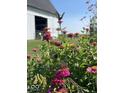 Vibrant flower garden with butterflies in front of barn at 26735 Six Points Rd, Sheridan, IN 46069