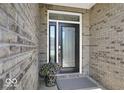 Modern black front door with glass inserts and brick exterior at 14144 Stoney Shore Ave, McCordsville, IN 46055