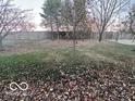 Large backyard with a grassy area and leaf covered ground at 581 Beehler Dr, Whiteland, IN 46184