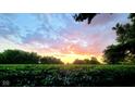 Scenic sunset over a soybean field with a partly cloudy sky at 3082 S County Road 125 W, Danville, IN 46122