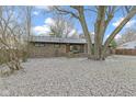 Landscaped yard with mature trees and light snow cover at 621 E 111Th St, Carmel, IN 46280