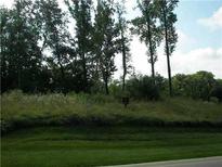 Wooded lot ready for your dream home at 7341 Creekbed Ln, Indianapolis, IN 46256