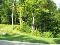 Spacious wooded lot, ready for your dream home at 7420 Creekbed Ln, Indianapolis, IN 46256