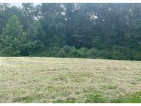 Wooded lot with a grassy area in the foreground at 2056 N Cobblestone Ct, Martinsville, IN 46151