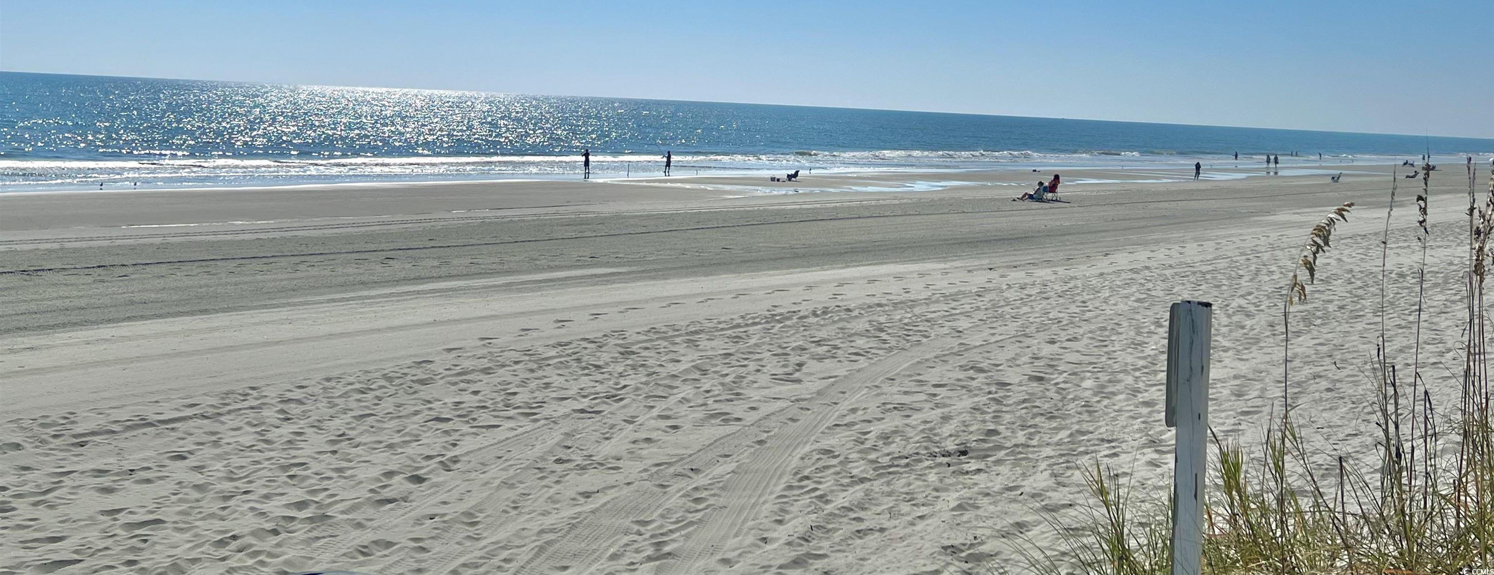 Photo #24