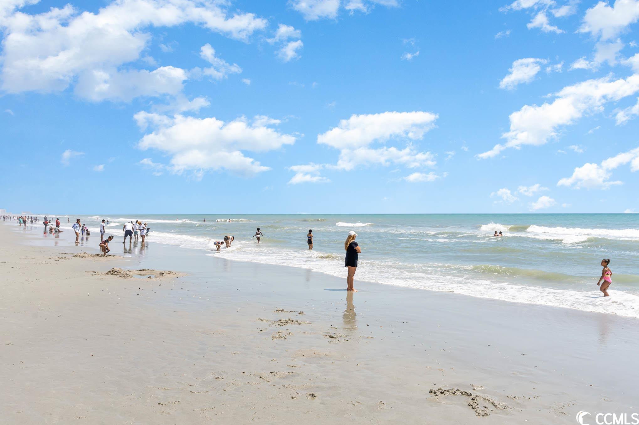Photo #36