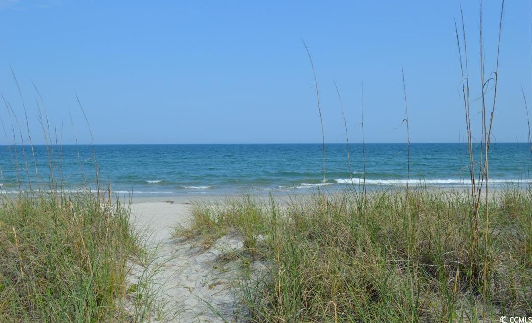 Photo #35