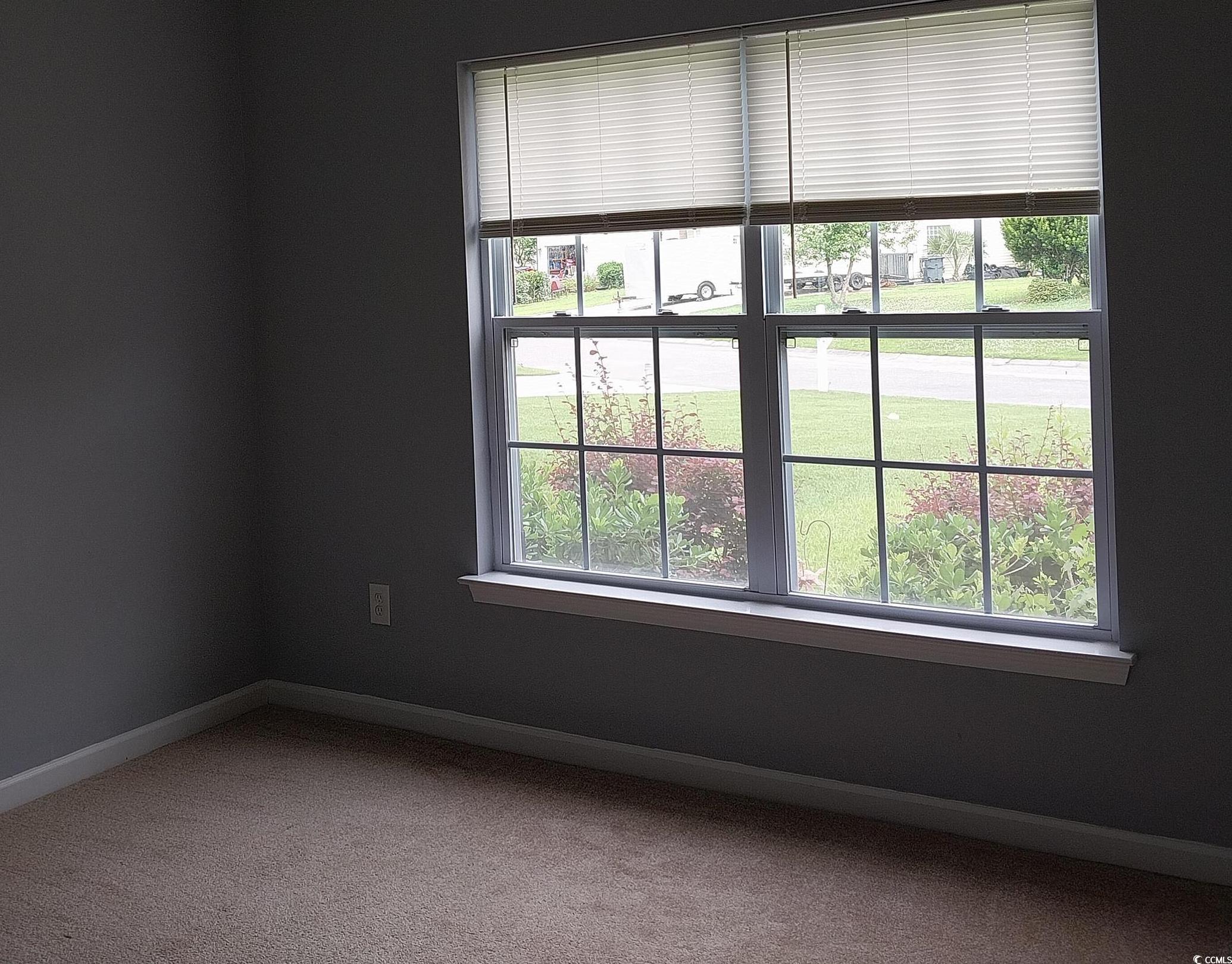 Photo #23