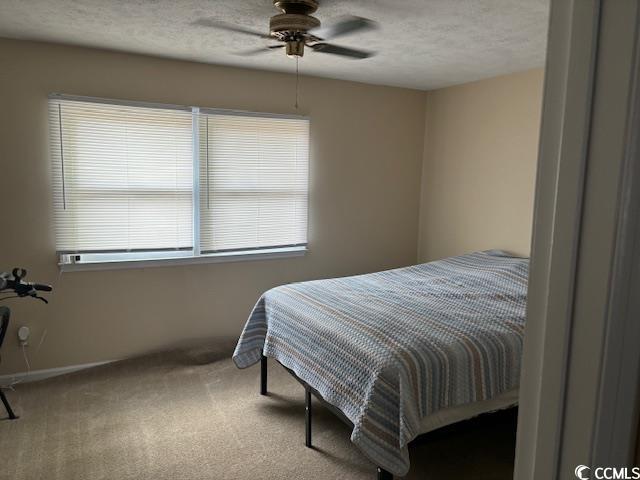 Photo #7