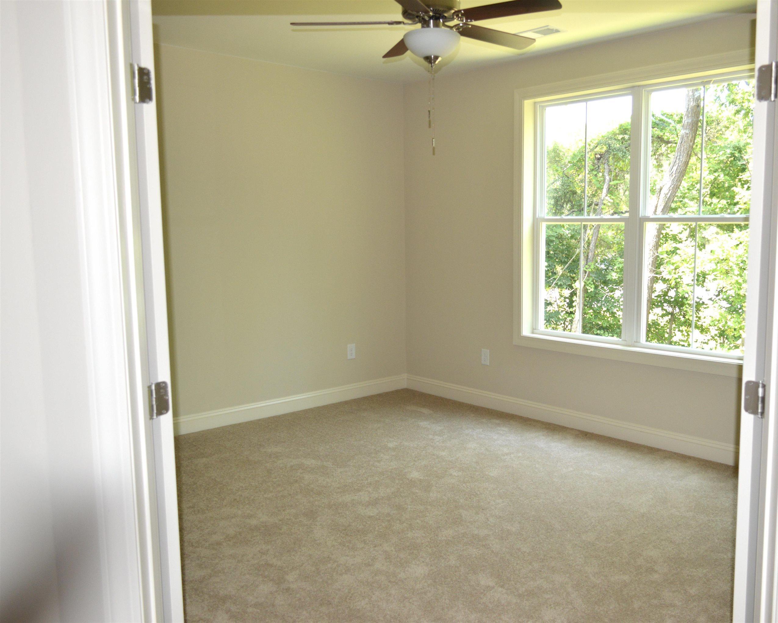 Photo #12