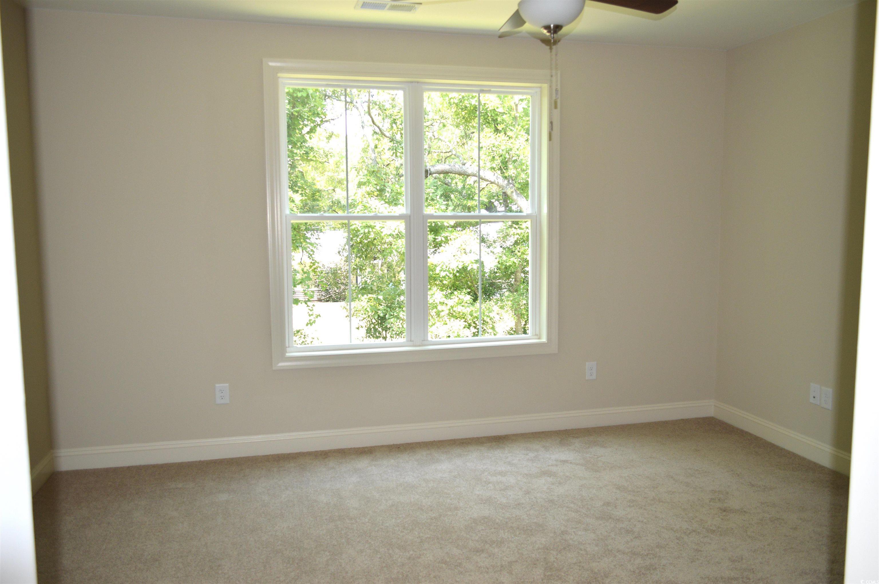 Photo #14