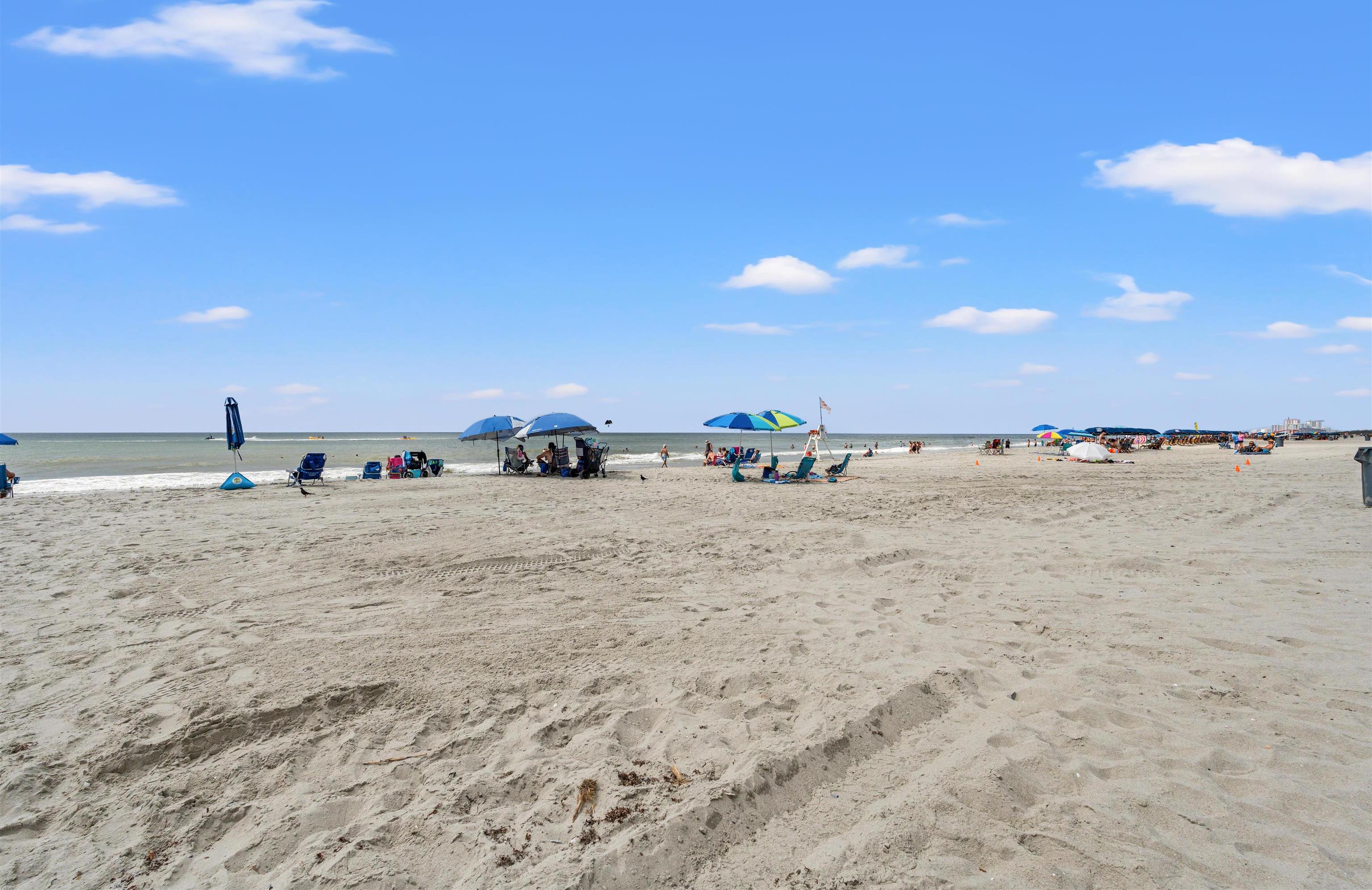 Photo #21